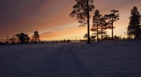 Løypesjef melder om flotte skiforhold på Åstjønna. 