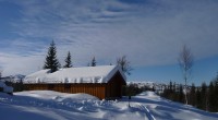 Vigden og Elgvadsfoss har flere hytter som kan leies av alle. Noen av hyttene har fått nye kontaktpersoner