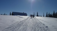 Det meldes om milevis med flotte skispor både fra Åstjønna og Vigdevann. Løypene henger nå sammen.