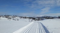 Strålende forhold rundt Almlivola idag, når Forra IL
arrangerte Almlivola Rundt for 37. gang.