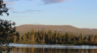 Stjørdalens befolkning  oppfordres førstkommende lørdag 17.aug til å ta turen fra Risvola og inn mot/til Vigdevann. Vi ønsker å vise frem den fine stien og det flotte landskapet øverst i Forradal. Det […]