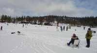 Sjelden har så mange fisket så mye for så lite. Men isfiskekonkurransen på Vigdevann ble en kjempedag uansett.