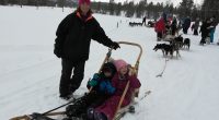 Lørdag 10 mars arrangerte Fau ved Forradal Oppvekstsenter tur til Kopperå og Bodil Bakkens Norway Husky Adventure. Mange barn med foreldre hadde tatt turen for å oppleve hundekjøring med slede. […]